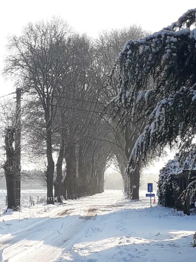 Hauwaertshoeve Beernem Bagian luar foto